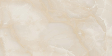 Керамический гранит BZ01 60x120x10 Полир.