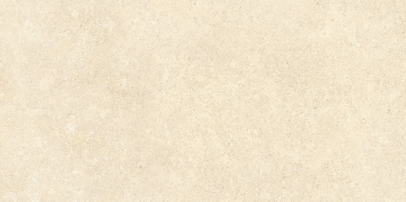 Плитка SandStone Песочный Матовый R10A Ректификат 60X120