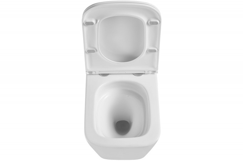 Унитаз Флорекс подвесной безободковый с сиденьем микролифт, белый глянец 9614001